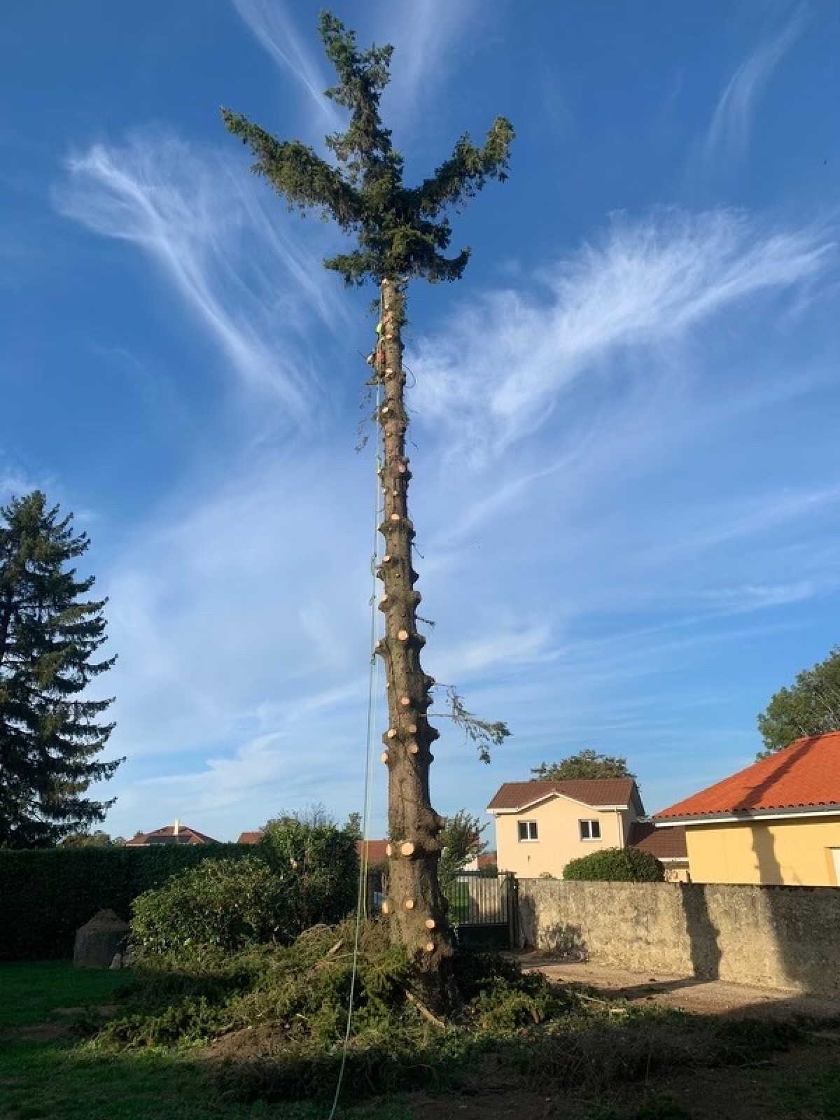 Abattage d'arbre à bourgoin jallieu