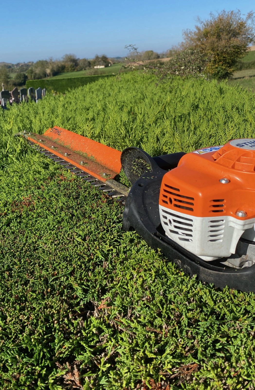 Faire tailler et entretenir sa haie par un professionnel des espaces verts à Bourgoin