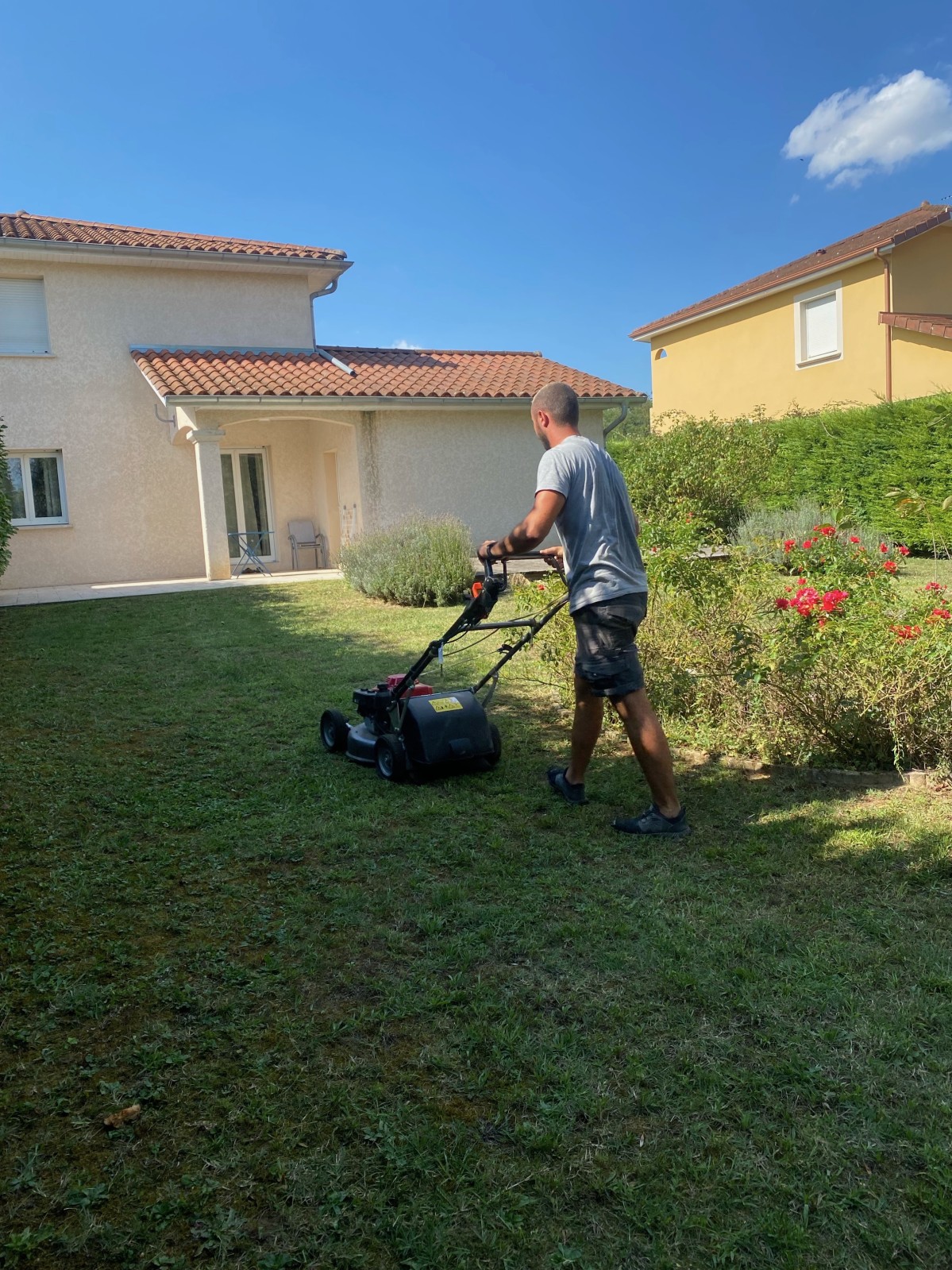 Tonte de pelouse à Vienne