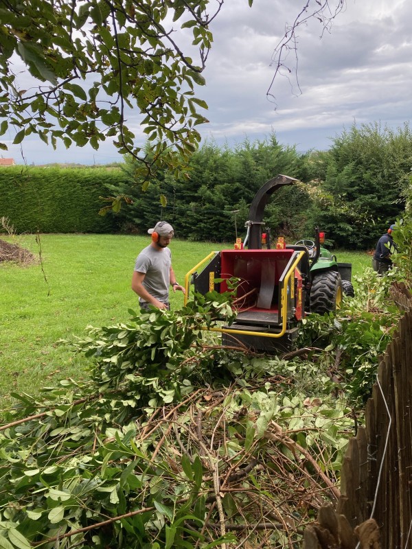 broyage en copeaux de bois des déchets verts à vienne