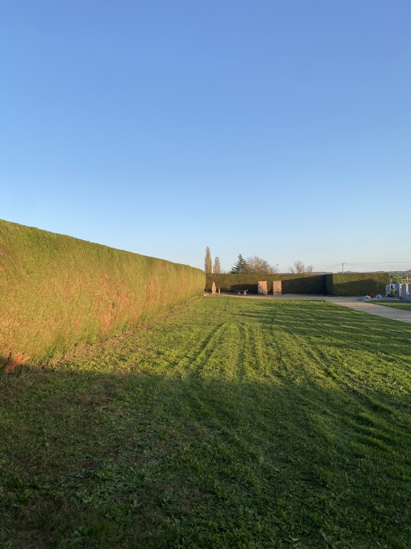 taille annuelle de haie à éclose Badinières