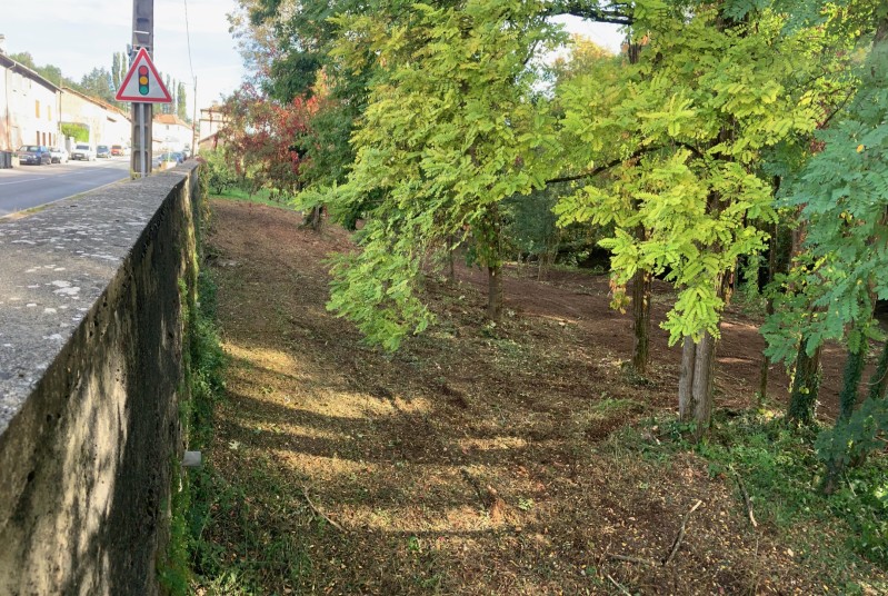 Nettoyage d'un terrain à Bourgoin jallieu 