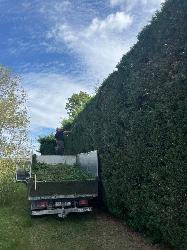 Paysagiste professionnel de la taille de végétaux sur Bourgoin pour entreprise et particuliers