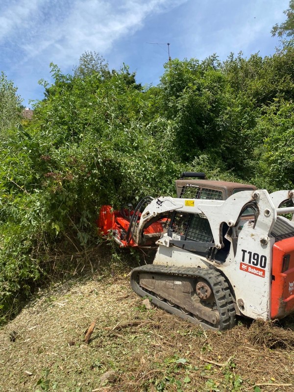 Nettoyage d'un terrain à Nivolas Vermelle