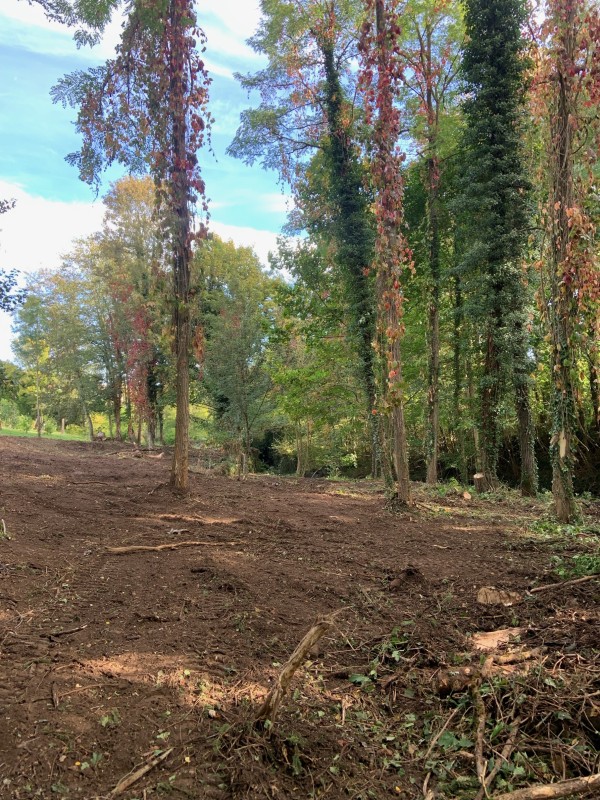 Abattage d'arbres à Bourgoin jallieu 