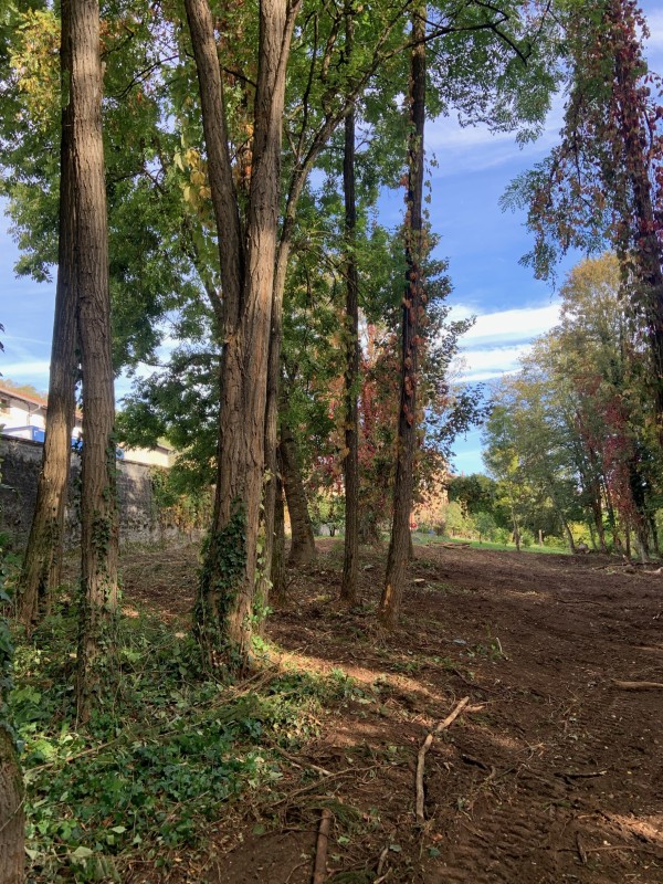 Broyage des végétaux à Bourgoin jallieu