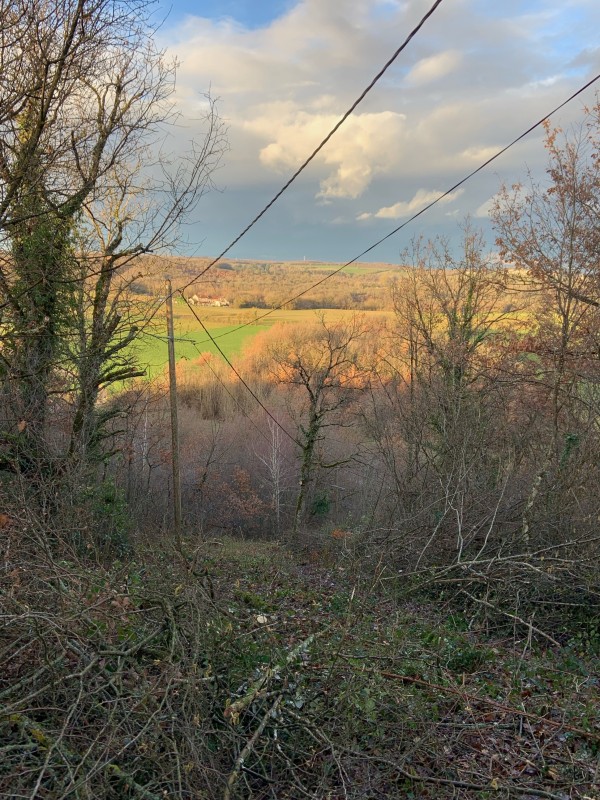 Entretien des lignes électriques en Isère