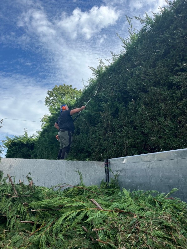 Paysagiste professionnel de la taille de végétaux sur Bourgoin pour entreprise et particuliers