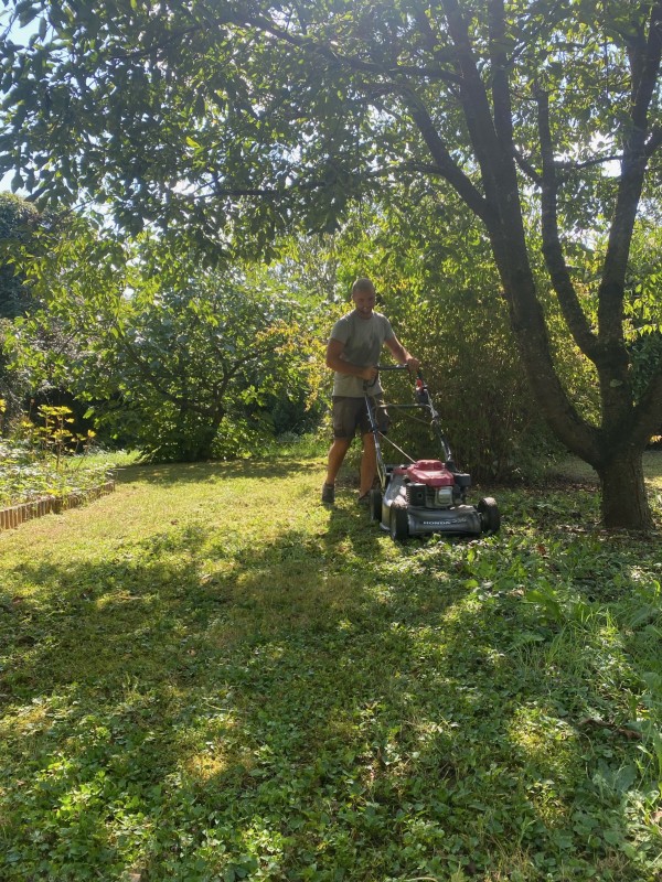 Tonte des espaces verts à Vienne