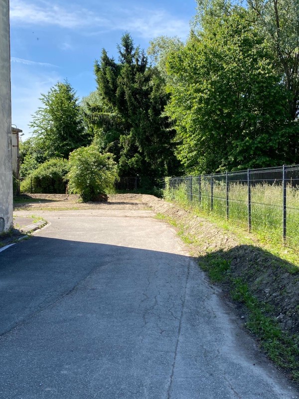 Entretien des espaces verts d'une entreprise à Bourgoin jallieu