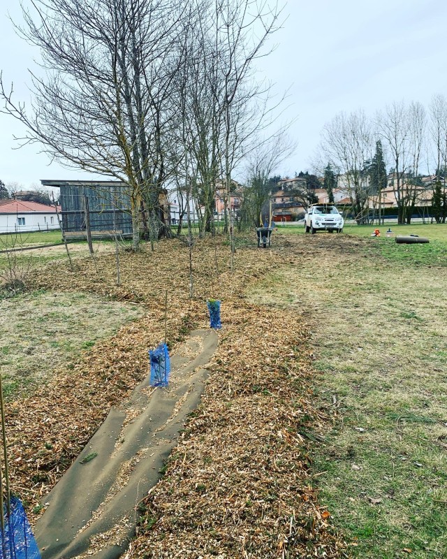 arborer un terrain à Bourgoin jallieu 