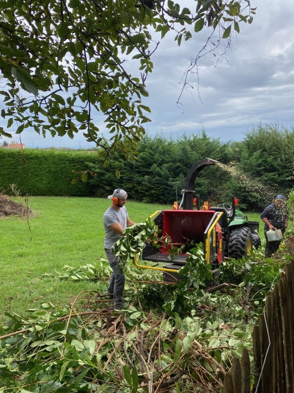 élagage d'un arbre avec broyage à vienne