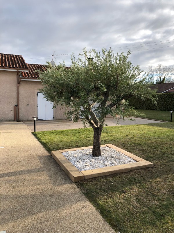 olivier centenaire à vienne 