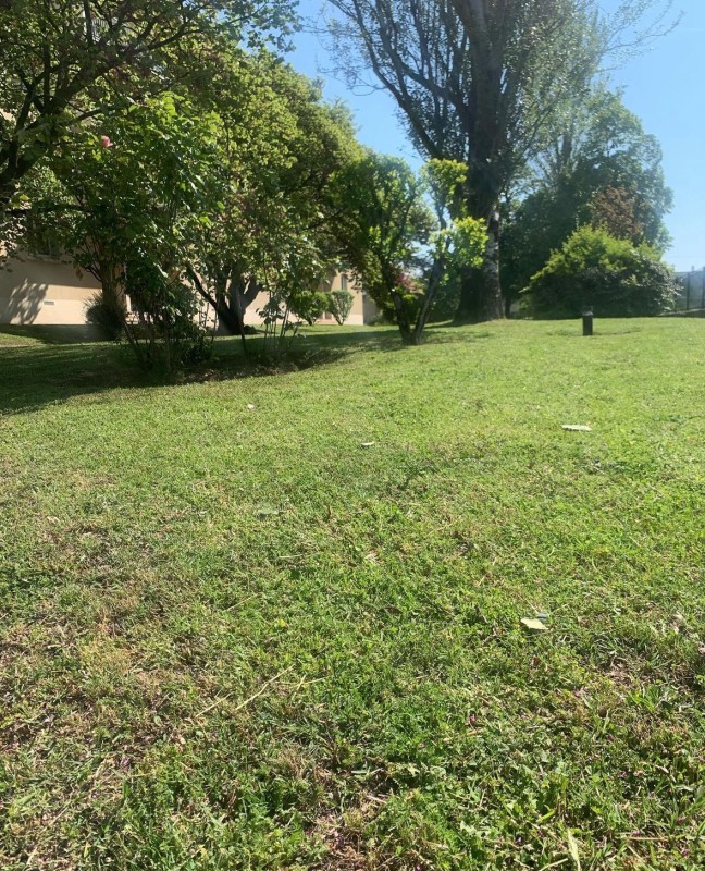 Tonte de pelouse et débroussaillage des espaces verts d'une copropriété proche de Lyon