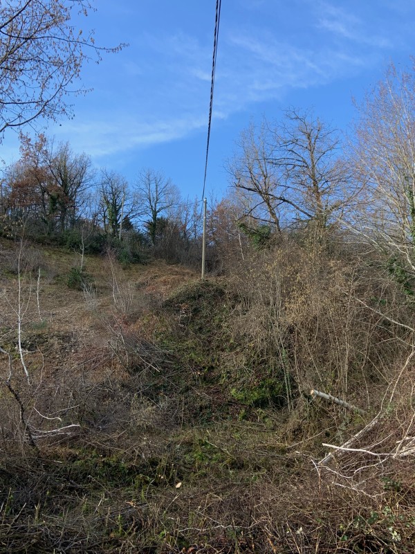 Elagage des arbres autour des lignes électriques à Bourgoin Jallieu