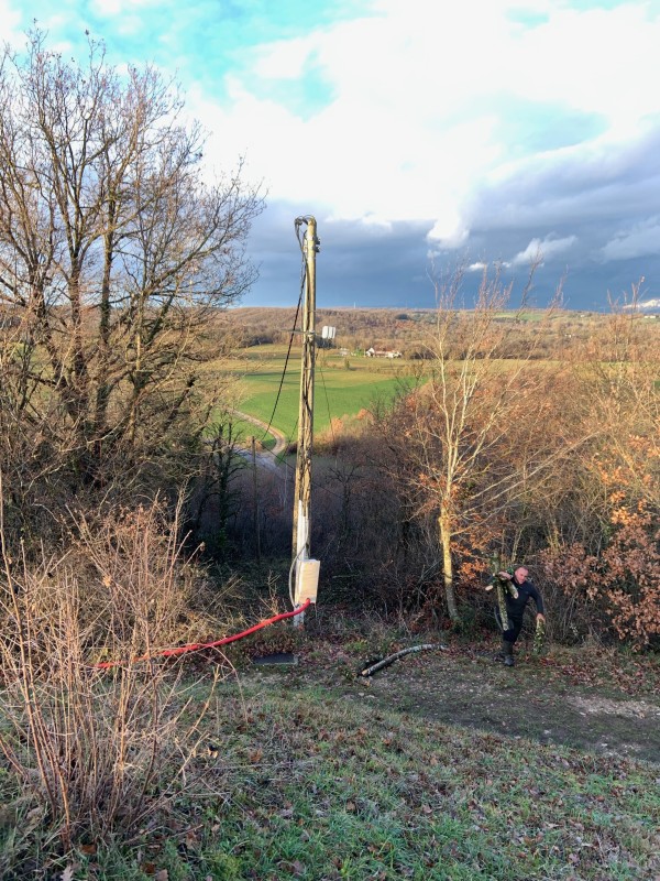 Abattage des arbres par démontage à Bourgoin jallieu