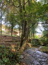 Nos prestations sur le secteur de Saint-Priest dans le Rhône 69