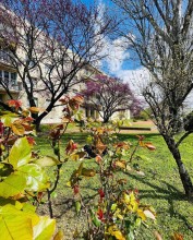 Nos prestations sur le secteur de Vienne en Isère 38