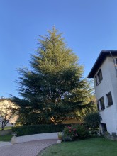 Nos prestations sur le secteur de Bourgoin-Jallieu dans l'Isère 38